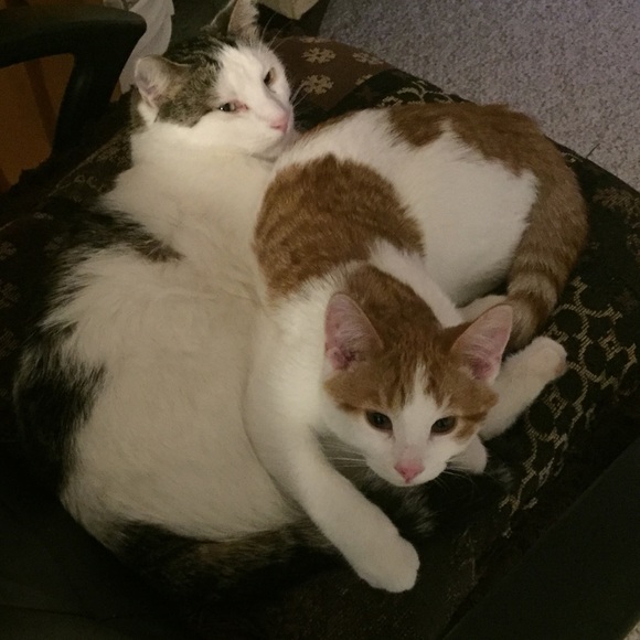 Meet your Posher, Zhanna - Picture 1 of 1